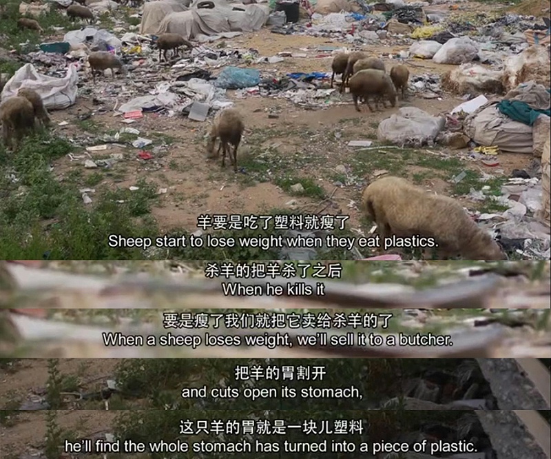 未標(biāo)題-4